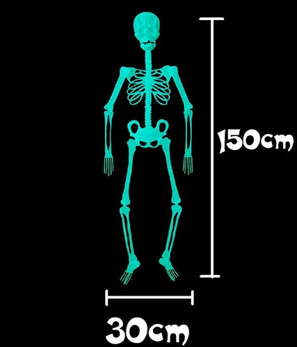 Manzana Cotillon Large Fluorescent Skeleton Halloween Decoration 1