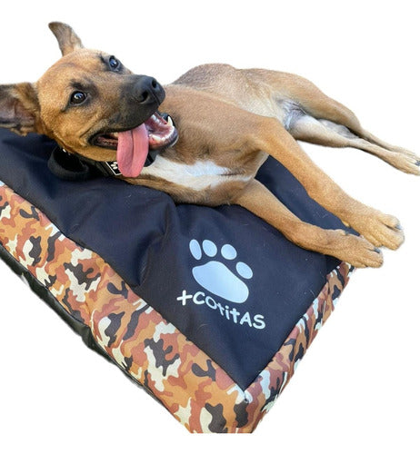 Cotitas Small Antidesgarro Personalized Dog Bed 1