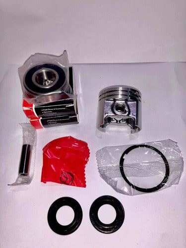 Motosie Stihl Ms170 Piston Kit + Seals + Bearings + Diaphragm 3