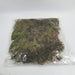 Natural Moss Decorative Dry + LED Light Centerpiece 50g 7