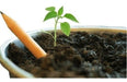 Plantable Seed Pencil Capsule in Colors - Customizable Eco Option 4