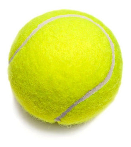 Fullimport Kids Tennis Ball No. 2 - Medium Toy for Dogs and Children 0