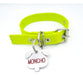 Dog Tag with Dog-Shaped Head + Apple Green Collar 0