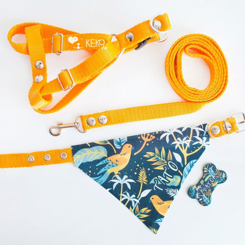 Keko.shop.ok Dog Leash + Collar Set S + Tag + Bandana + Harness 1