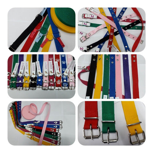 Combo Pets Shop 20 Collars / 10 Harnesses / 10 Leashes Various Colors 1