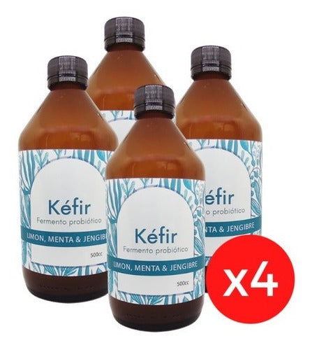 Kéfir - Fermento Prebiótico 500cc. Oferta X4 0