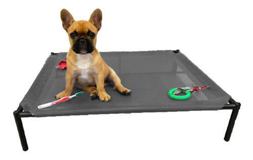 Hilgert Small Pet Bed for Dogs and Puppies - 40% Off!!! 0