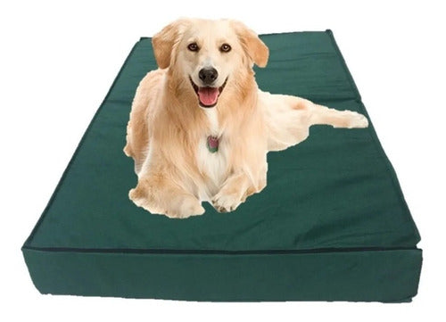 G Y G Fiacas Eco-Leather Pet Mat (110 X 70 Cm) Large 1