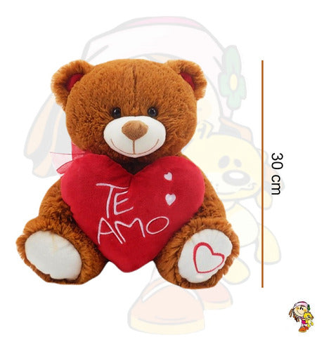 Plush Teddy Bear with Embroidered I Love You Heart Soft Toy 30cm 1