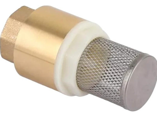 Julong Vertical Water Check Valve with Filter 3/4" 0