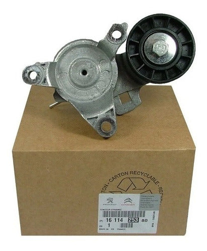 Tensor Correa Poly Alternador 307/308/407 C4 2.0 Original 1