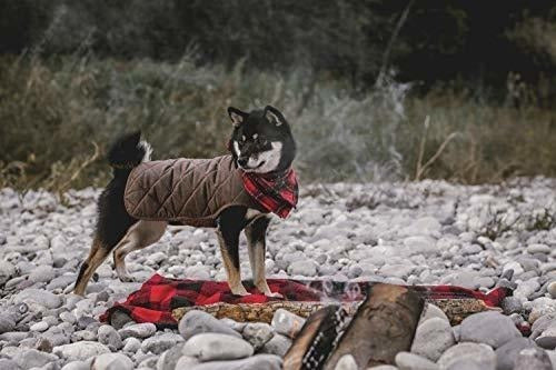 Chaqueta De Perro De Cera Para Mascotas Embark: Abrigos Para 1