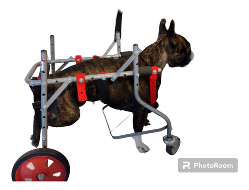 Veterinary Orthopedic Dog Walkers for Dogs Up to 6 Kilos 0