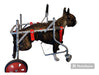 Veterinary Orthopedic Dog Walkers for Dogs Up to 6 Kilos 0