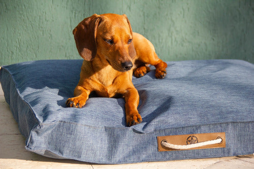 Mascote XL Washable Anti-Teardown Dog Bed 100x70x10 7