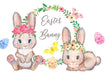 Mariela Kits Bunny Watercolor Clipart Easter Bunny 7911950 1