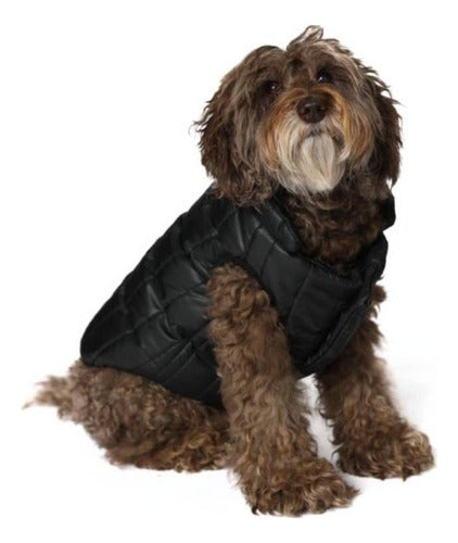 Abrigo Buzo Nuevo Ropa Cocooning Corderito Raphael Perros Xl 3