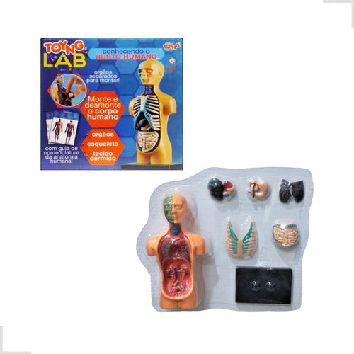 Brinquedo Educativo Medicina Corpo Humano Órgãos Anatomia 1