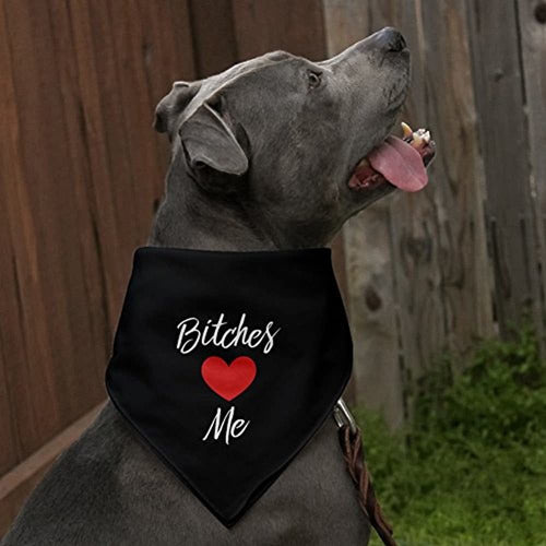 Graficos Y Mas Perras Love Me Funny Dog Pet Bandana Black 2