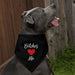 Graficos Y Mas Perras Love Me Funny Dog Pet Bandana Black 2