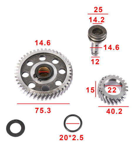 W Standard Motomel Custom 150 W Standard Camshaft 1