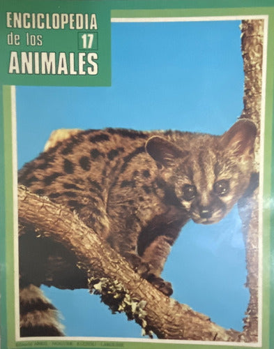 Lote De 34 Fascículos De La Enciclopedia De Los Animales Ej4 3