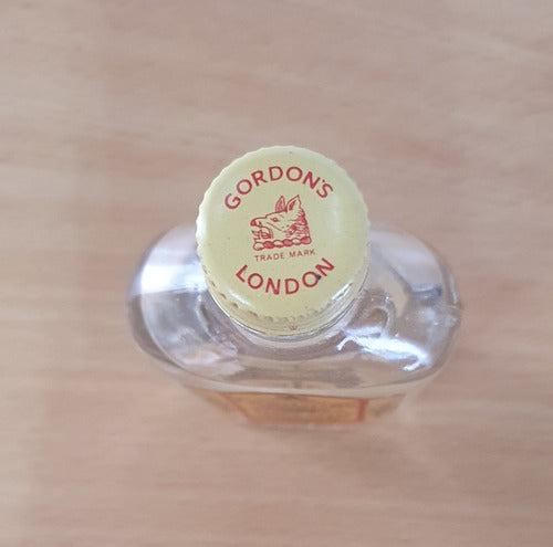 Botella Decorativa Gordon's Gin 3