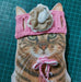 Mascotas felices Ropa Para Gatos. Tiara Diadema 6