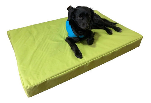 G y G Fiacas Pet Mattress 70x50x8 1