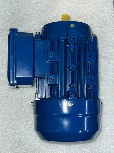 Asbelt Motor Eléctrico Trifásico - 1/4 - Caja 63 - 1450 Rpm 2