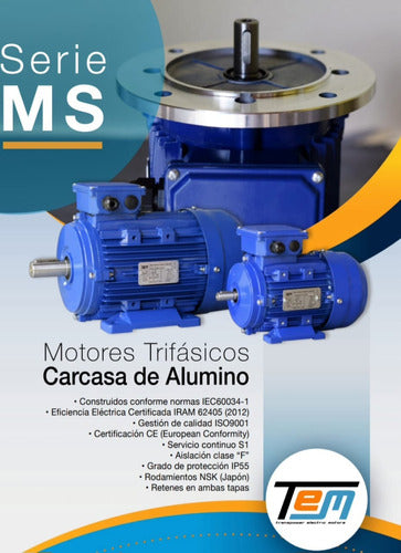 Tem Motor Trifásico 0.5hp 3000rpm Con Patas Uso Continuo 380v 1