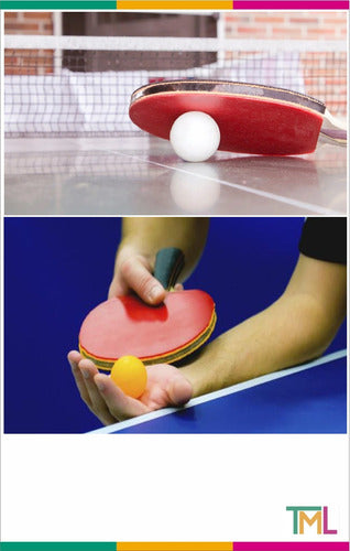 Sensei 3 Star Table Tennis Paddle 4