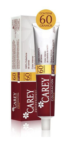 Tinta Carey Profesional 60 G N°10.2 0