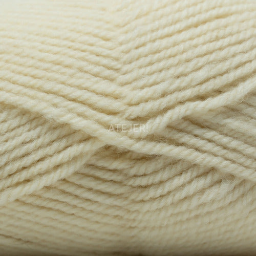 MIA Pampa Merino Semi-Thick Yarn Skein 100 Grams 91