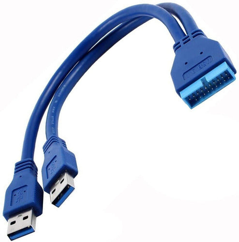 RAYSUN Cable USB 3.0 Male X2 A to 20 Pin Motherboard Adapter 0