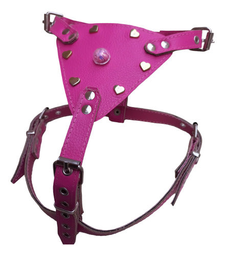 Small Dog Harness and Walking Chain for Breeds Like Poodle 0