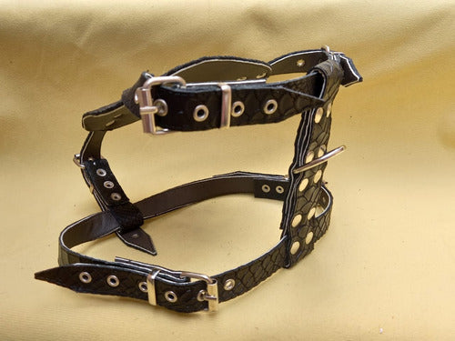 Petizoos Fuerzas Leather Harness for French Bulldog or Pug 5