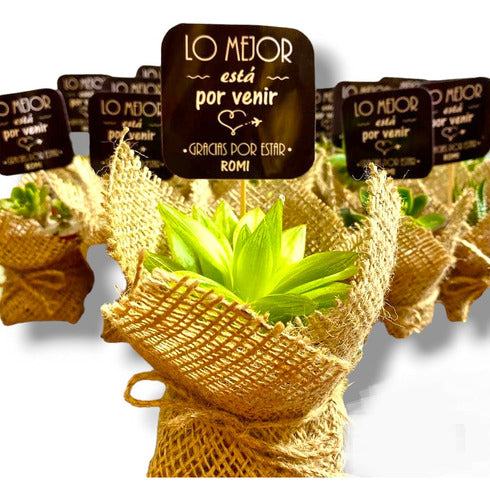 Isiflor 60 Mini Succulents with Burlap and Sign for Events 1