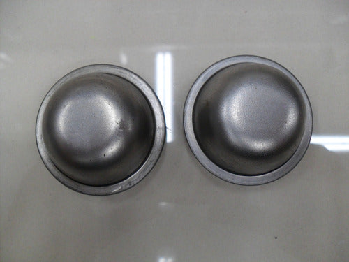 Set of 2 Ford Escort 88/94 Grease Caps 1