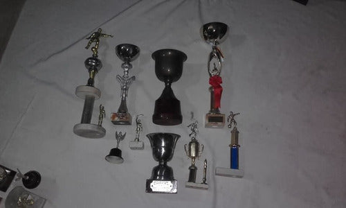 Lote De Trofeos Futbol  Y Campeonatos De Perros 1