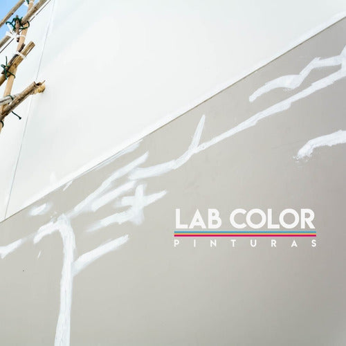 LAB COLOR Premium Interior/Exterior Wall Putty 4 Kilos 3