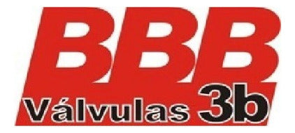 BBB Bajaj Rouser 135 Valve Set x 4 Units Free Shipping 1