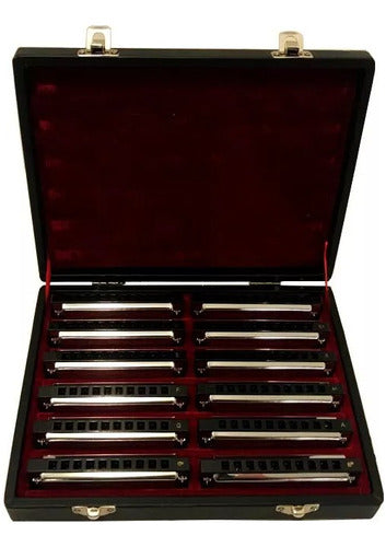 SX Diatonic Harmonica Set - 12 Notes + Case 4