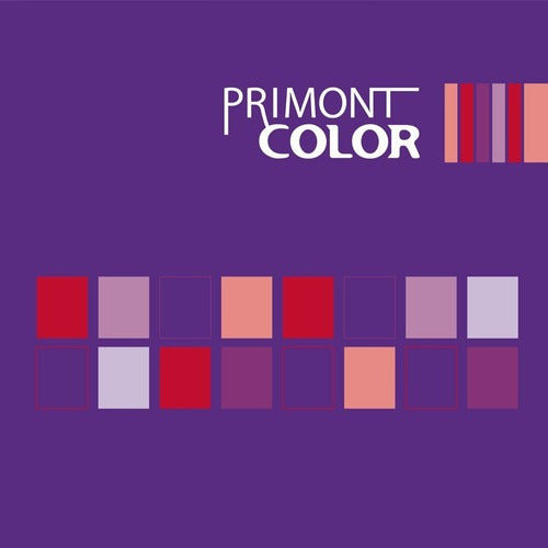 Primont 60g Hair Coloring Ammonia Kit x 2 3
