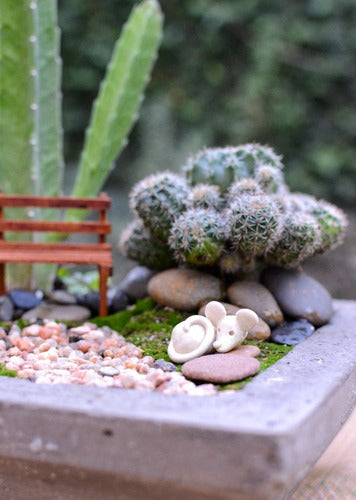 Mini Jardin Terrario/ Para Armar. 4