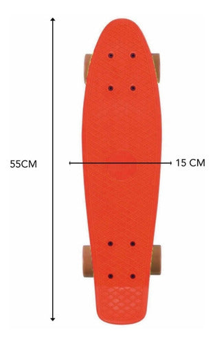 Mini Patineta Longboard 1