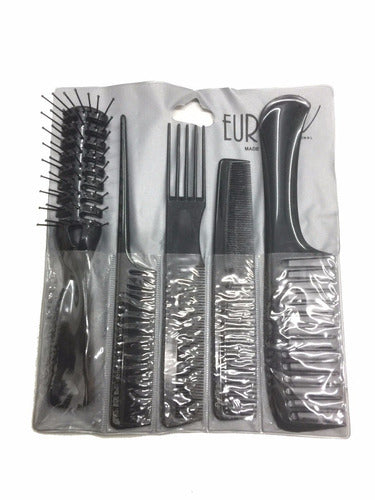 Professional Eurostil Hairdressing Set of Combs + Brush 1