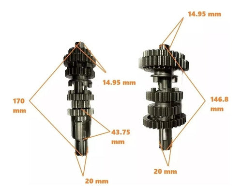 Zanella RX 150 Original Gearbox Motos Franco 1