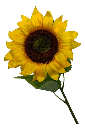 Vara Girasol Mediana 0