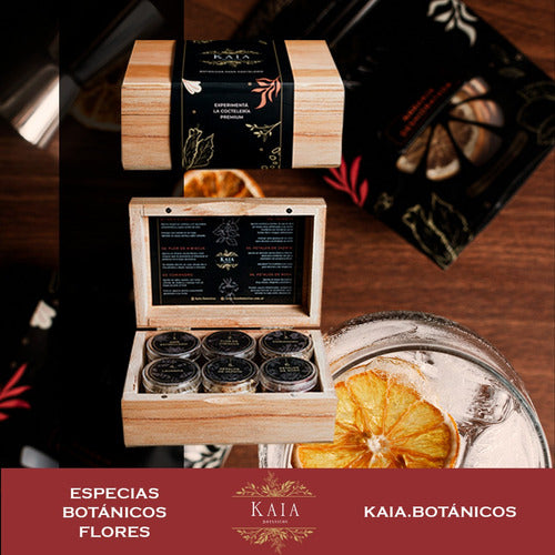 Kit Citrus Botanical Cocktails Kaia with Aconcagua Blanco Gin 2